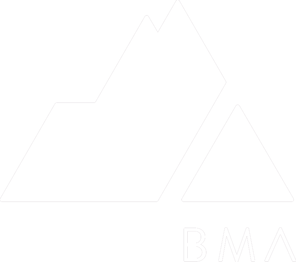 Buzin Media Agency