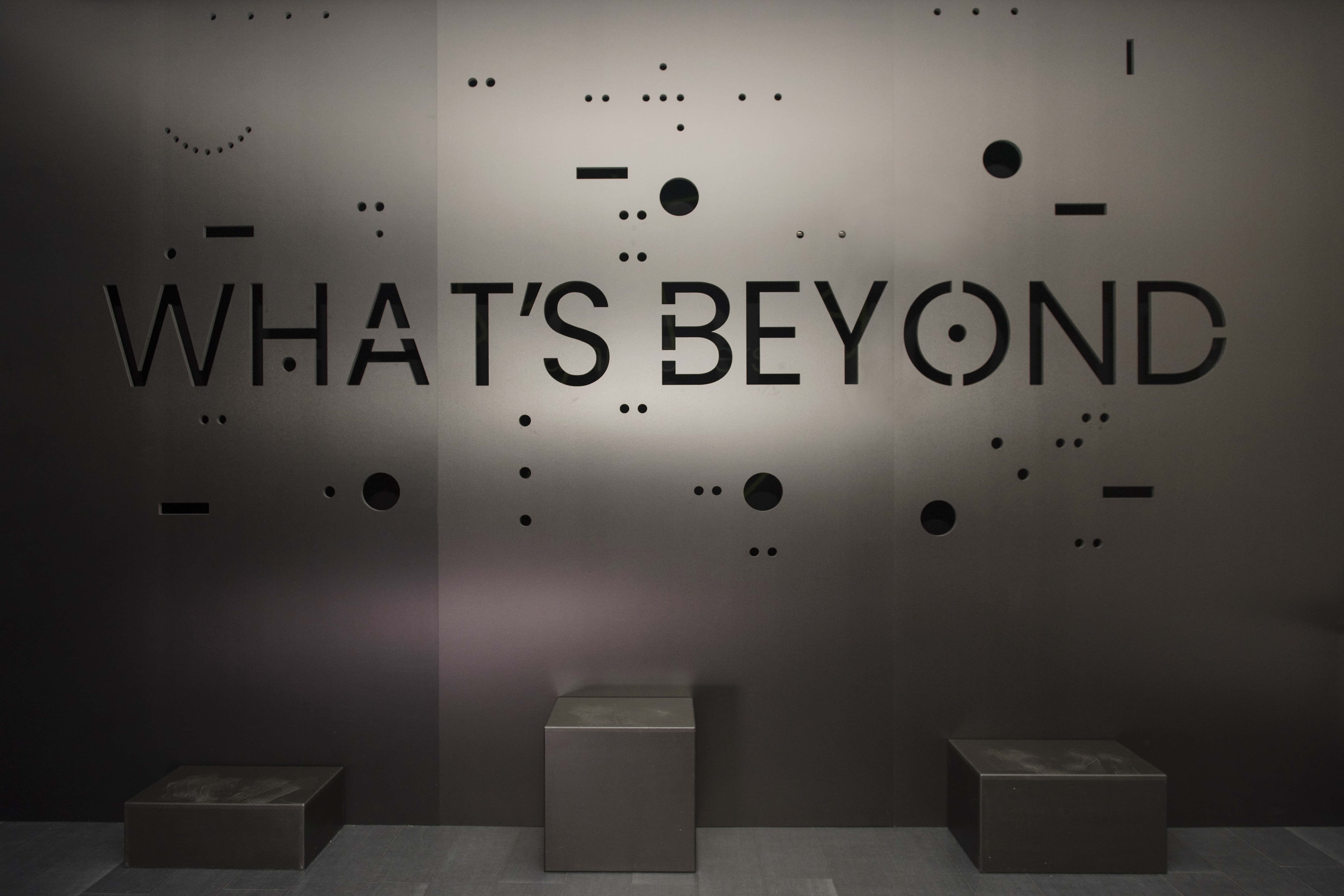 Zampediverse-What’s beyond